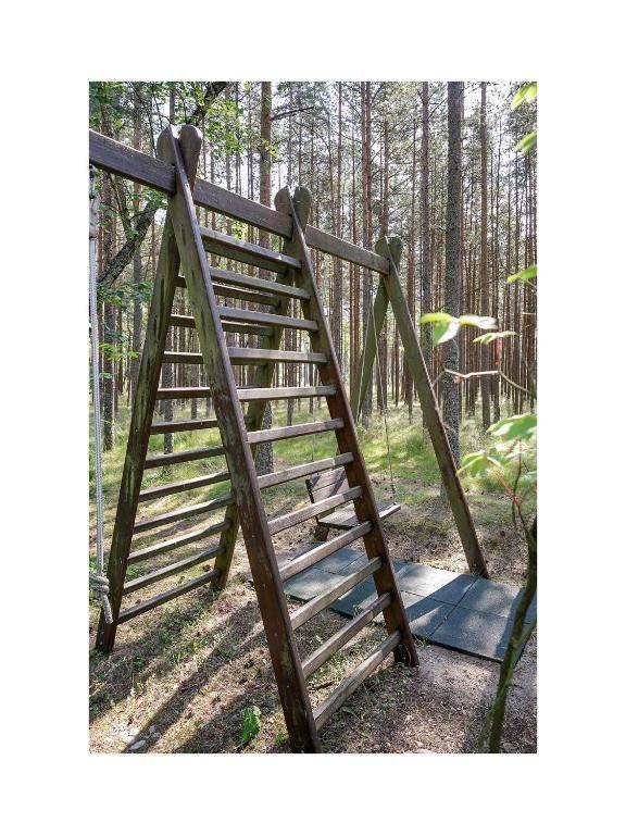 Фото  Forest Cottage Неринга 31